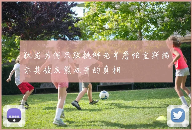 狄龙为何只敢挑衅老年詹帕金斯揭示其被灰熊放弃的真相